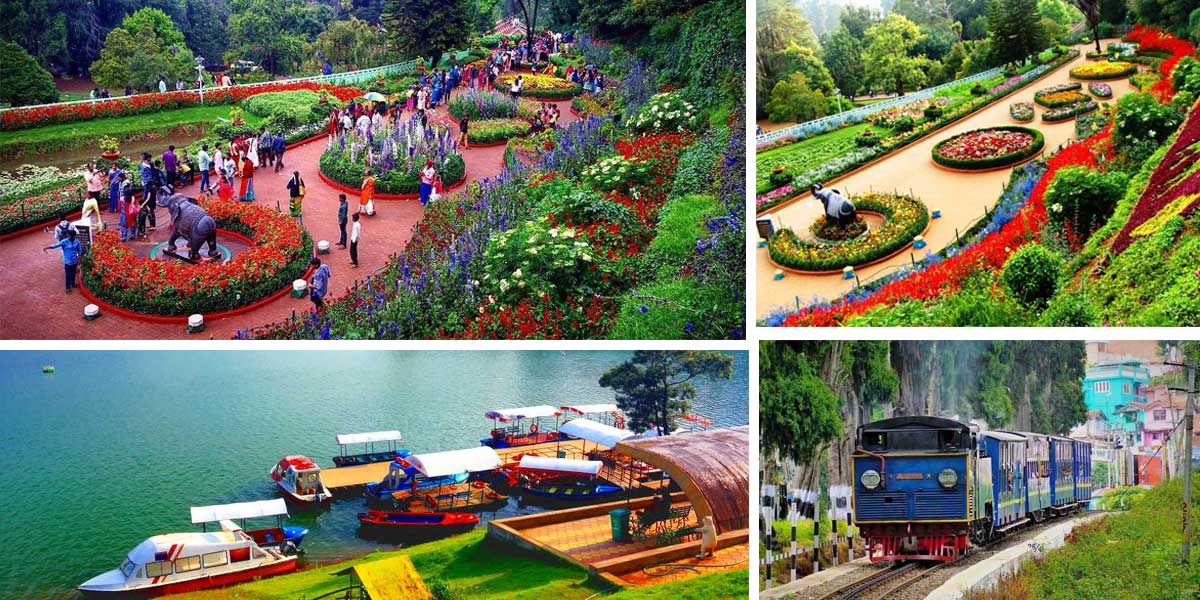 Ooty
